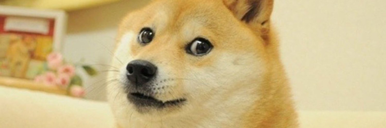 dickticondvout's profile banner image