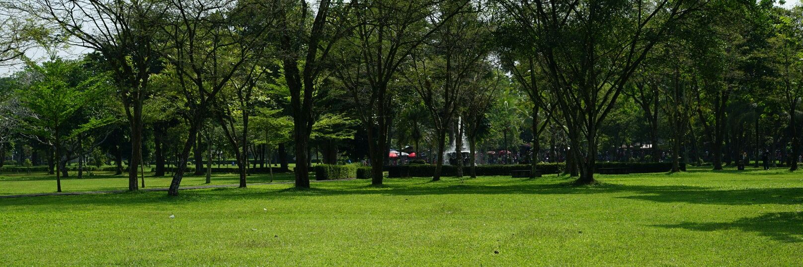 rizkyps's profile banner image