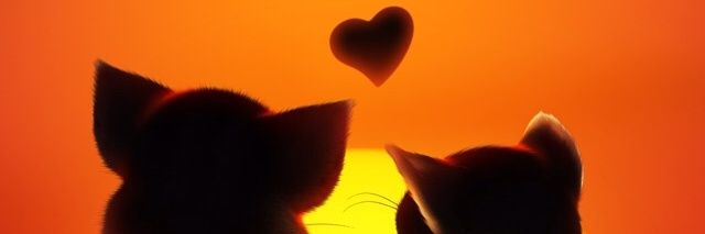 RRomyyyna's profile banner image