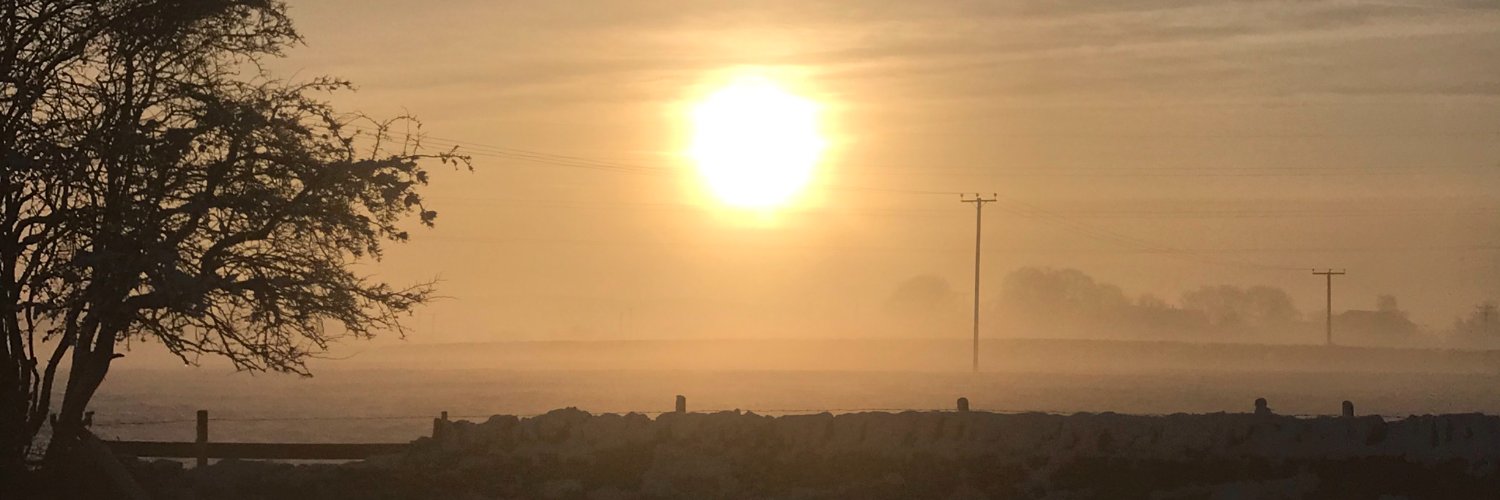 2XLPT's profile banner image
