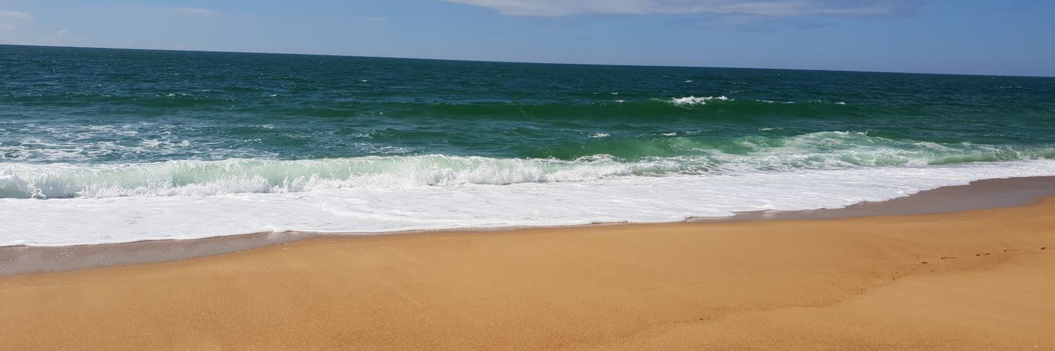 MWhitton64's profile banner image