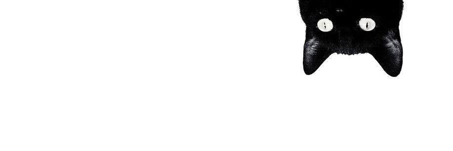 pusnice89's profile banner image