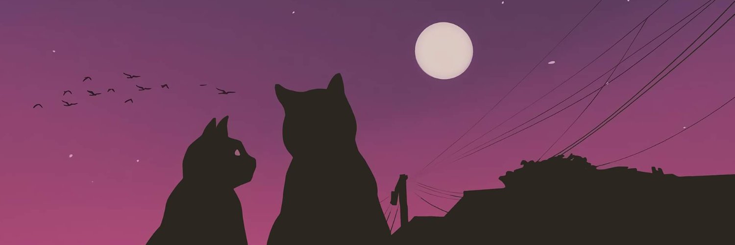 Megatron562's profile banner image