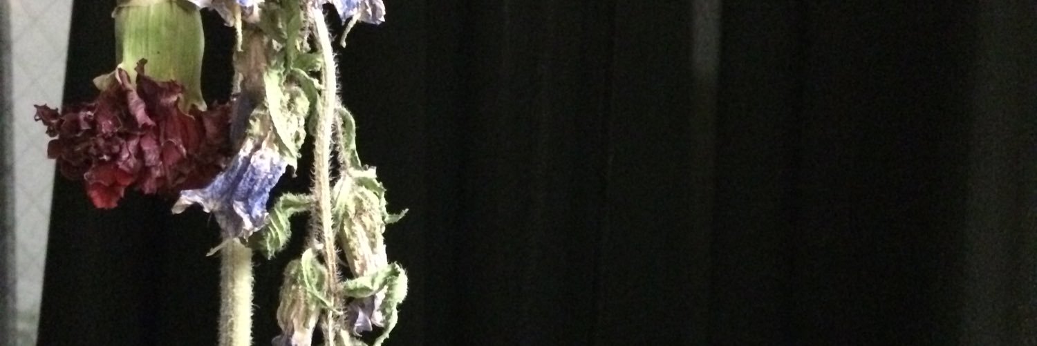 26hkp's profile banner image