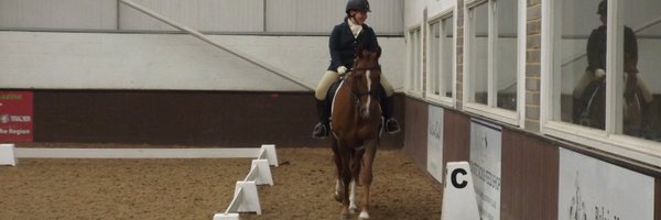 SolitaireDTM Profile Banner