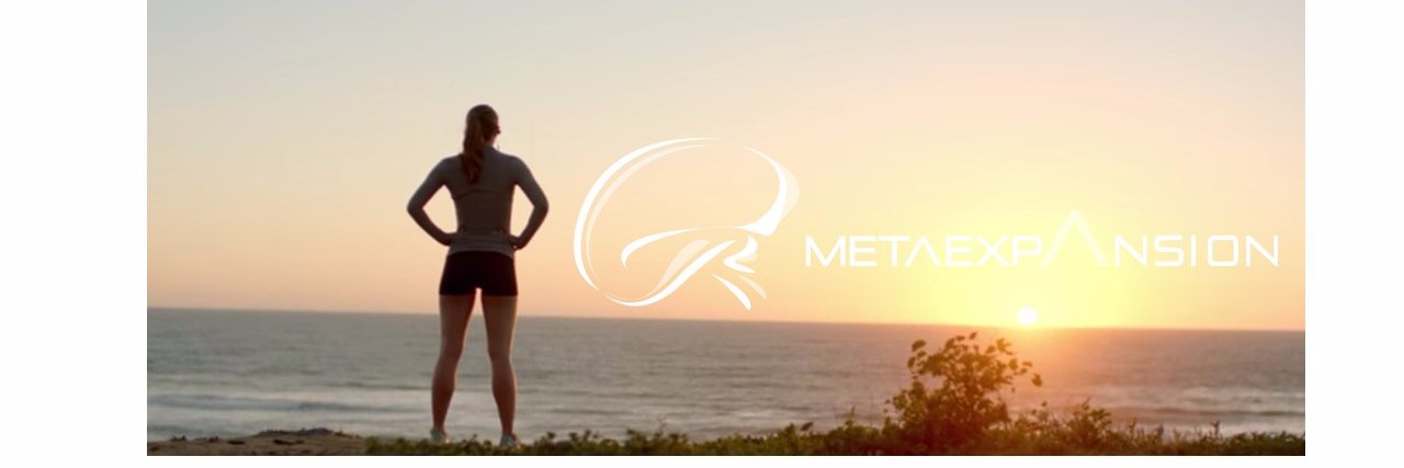 MetaExpansion's profile banner image