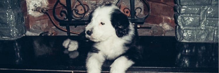 sofymassone's profile banner image