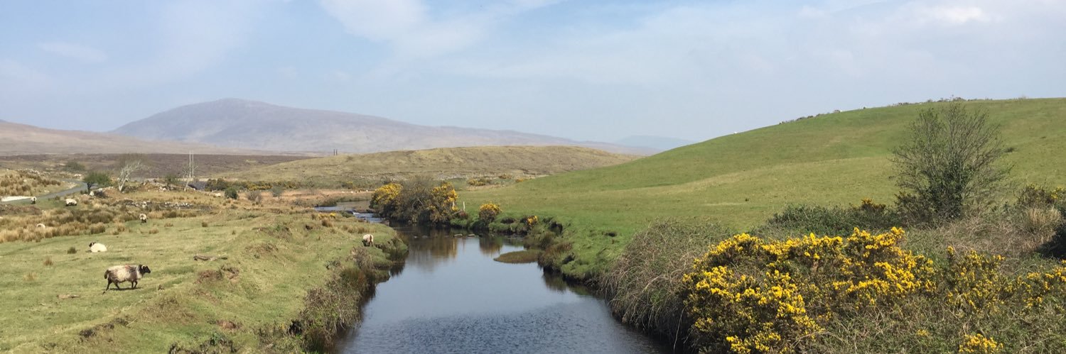 Karen Tobin O Carroll banner