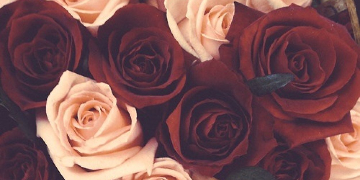 _alexandraaaa's profile banner image