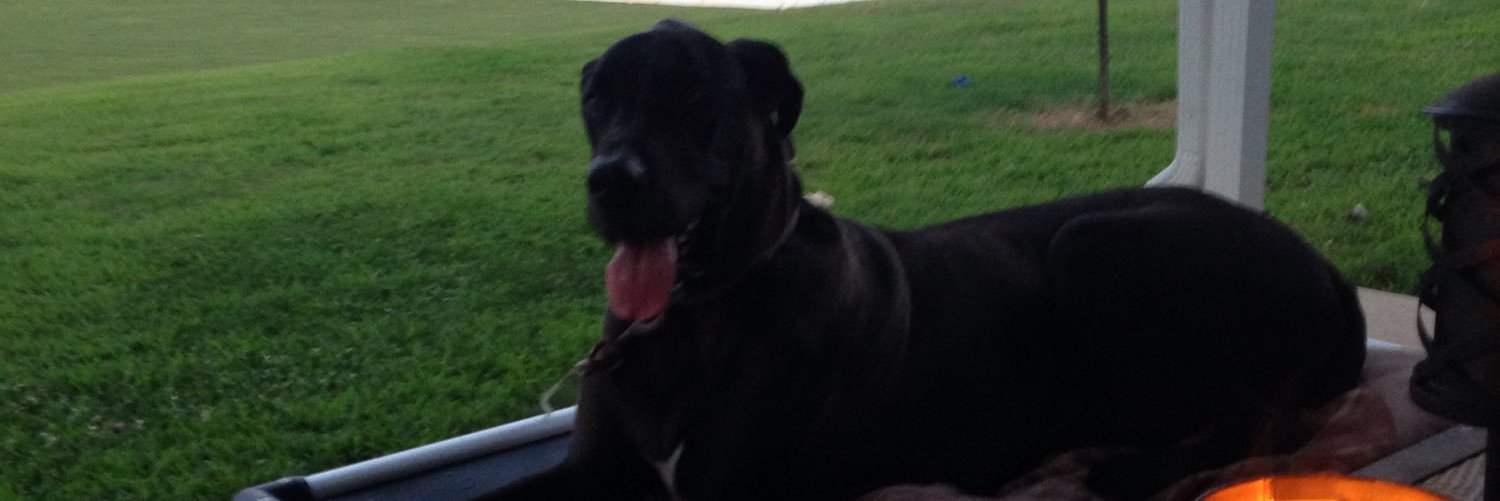 dutton_dustin's profile banner image