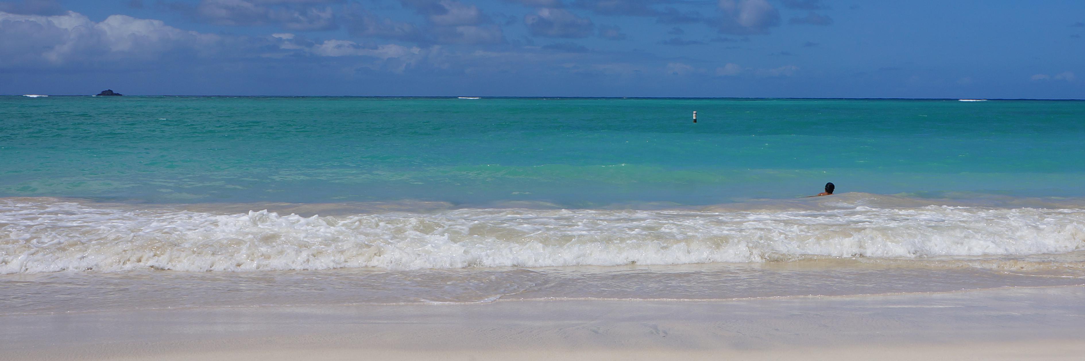 NaturalLife808's profile banner image