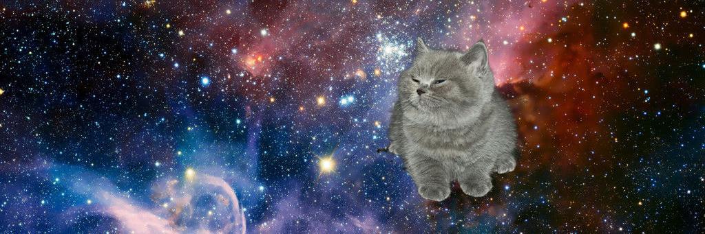ArielleinDC's profile banner image