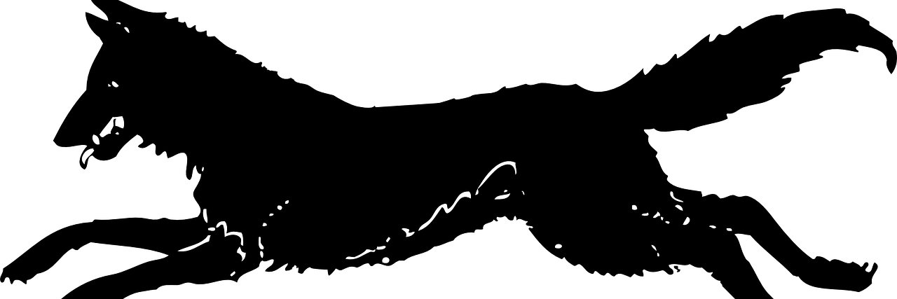 TheShawnButler's profile banner image