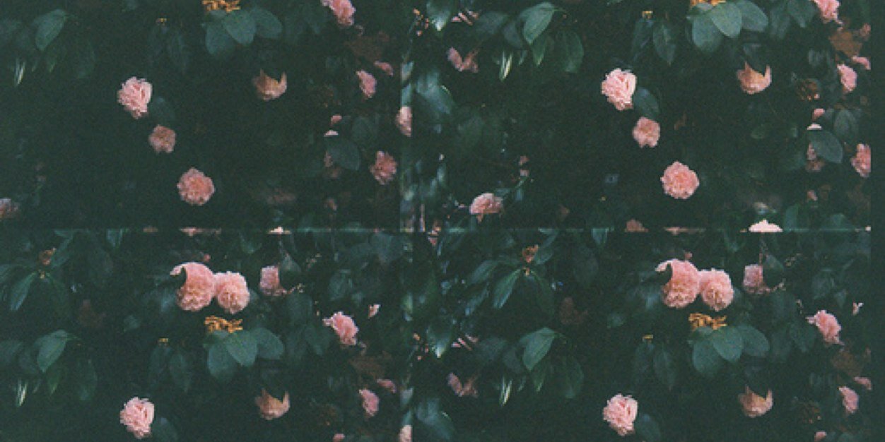 1_IAFNAN's profile banner image