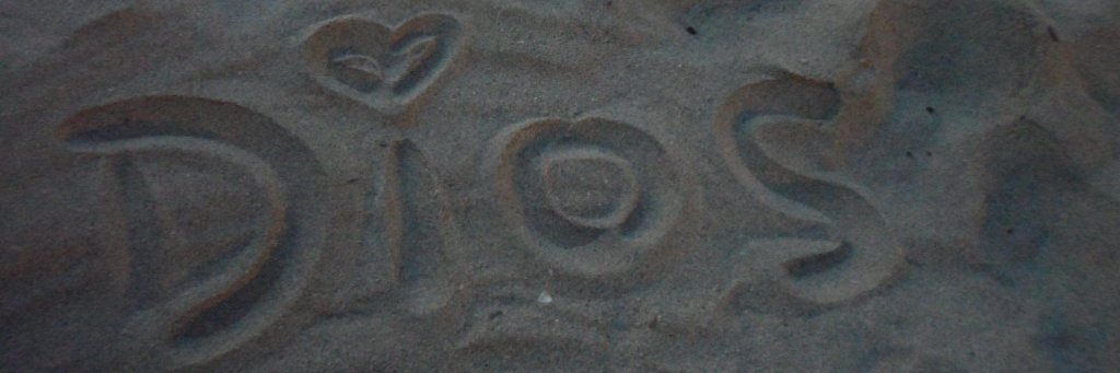 yllelyna's profile banner image