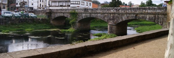 magicpetter Profile Banner