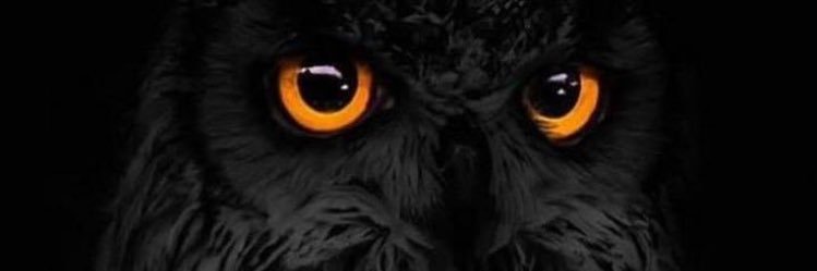 canisromanus's profile banner image