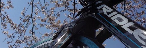 wildfantasy Profile Banner