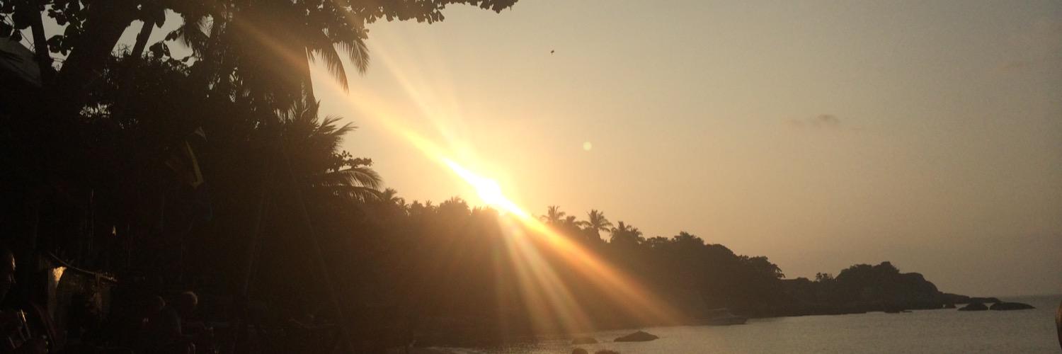 Natasha Fairs banner