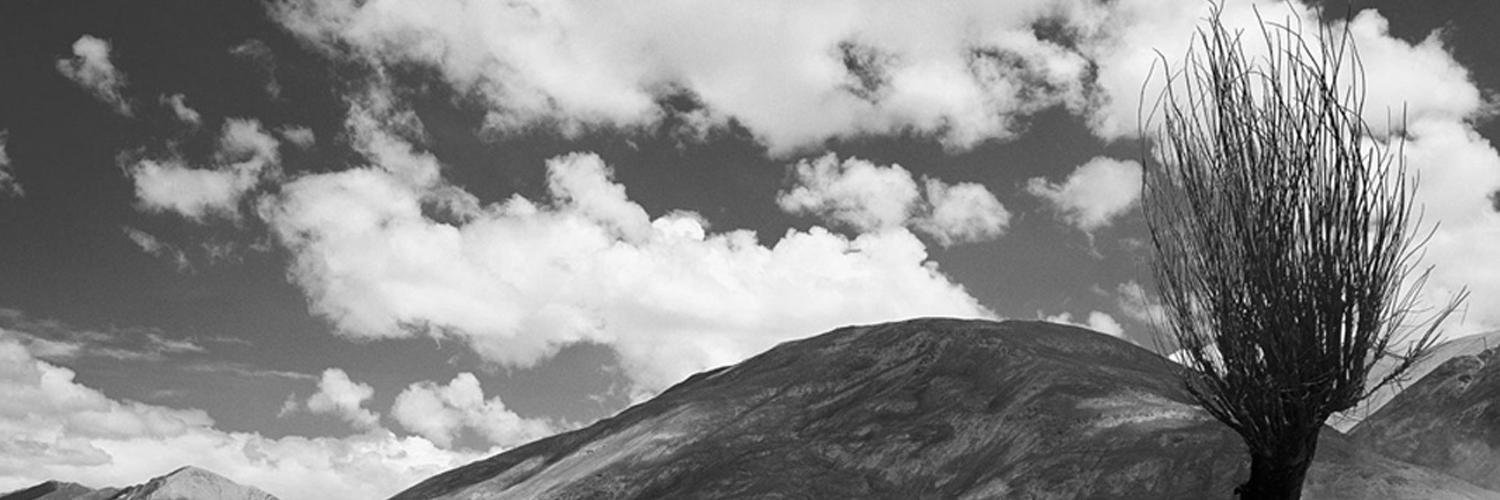 GoC_AlexisR's profile banner image