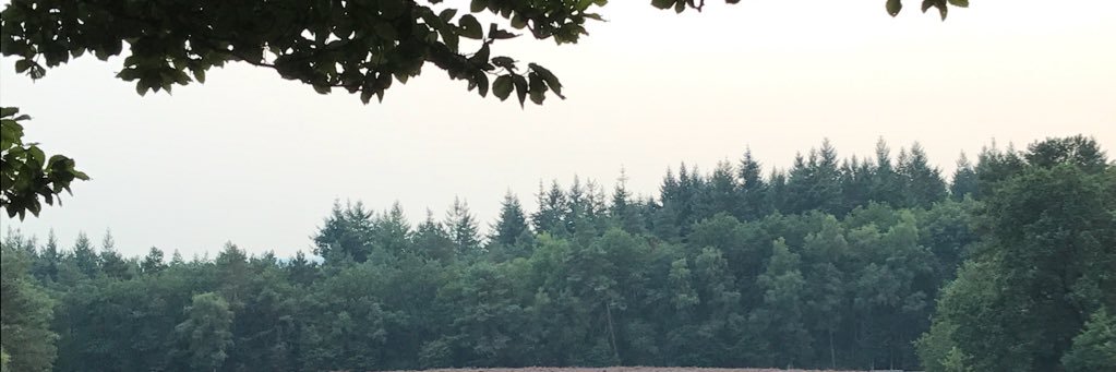 Liin1991's profile banner image