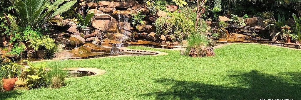 NiccyKariuki's profile banner image