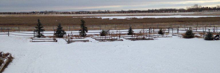 Uplands_ranch's profile banner image
