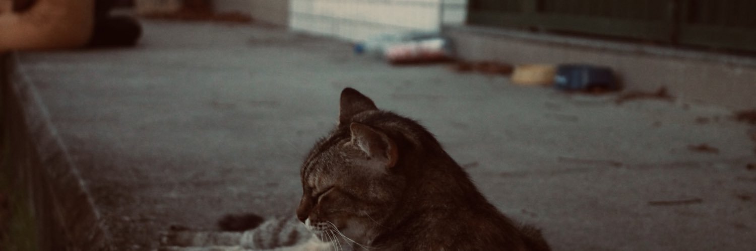 yebaths's profile banner image