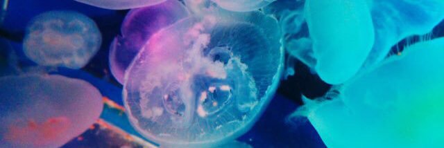 baru_ai's profile banner image