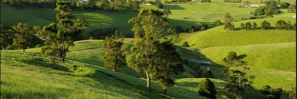 ProThought's banner