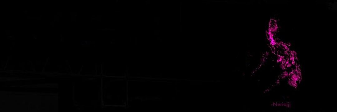 Joy Telle banner