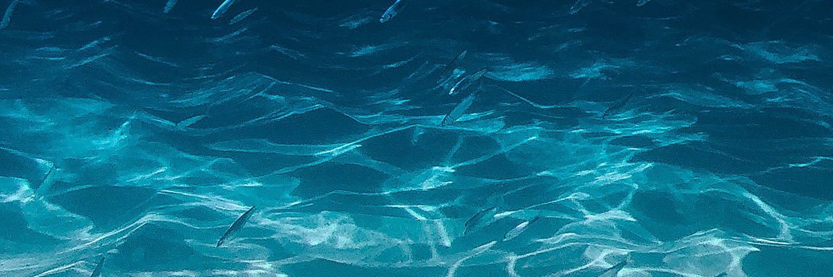 lye_ot7's profile banner image