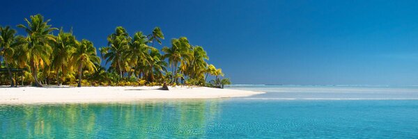 PacificCove Profile Banner