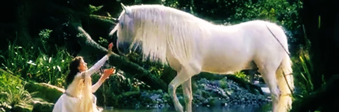begumminkis's profile banner image