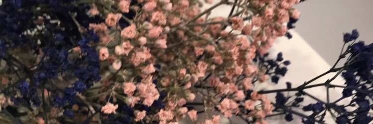 yafa17's profile banner image
