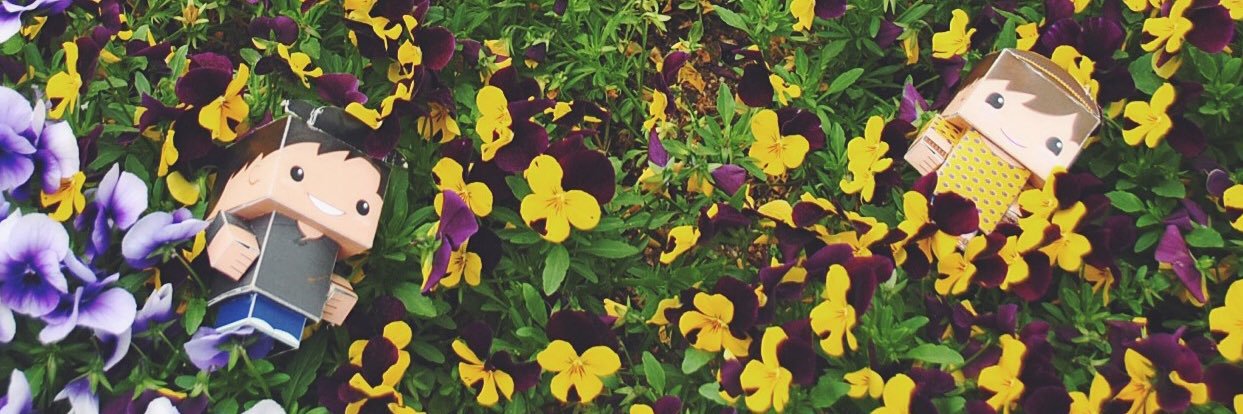 deedoidee's profile banner image