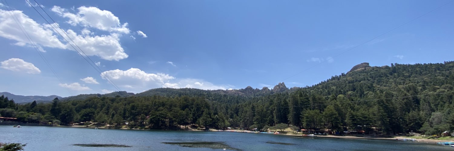 Lilybco's profile banner image