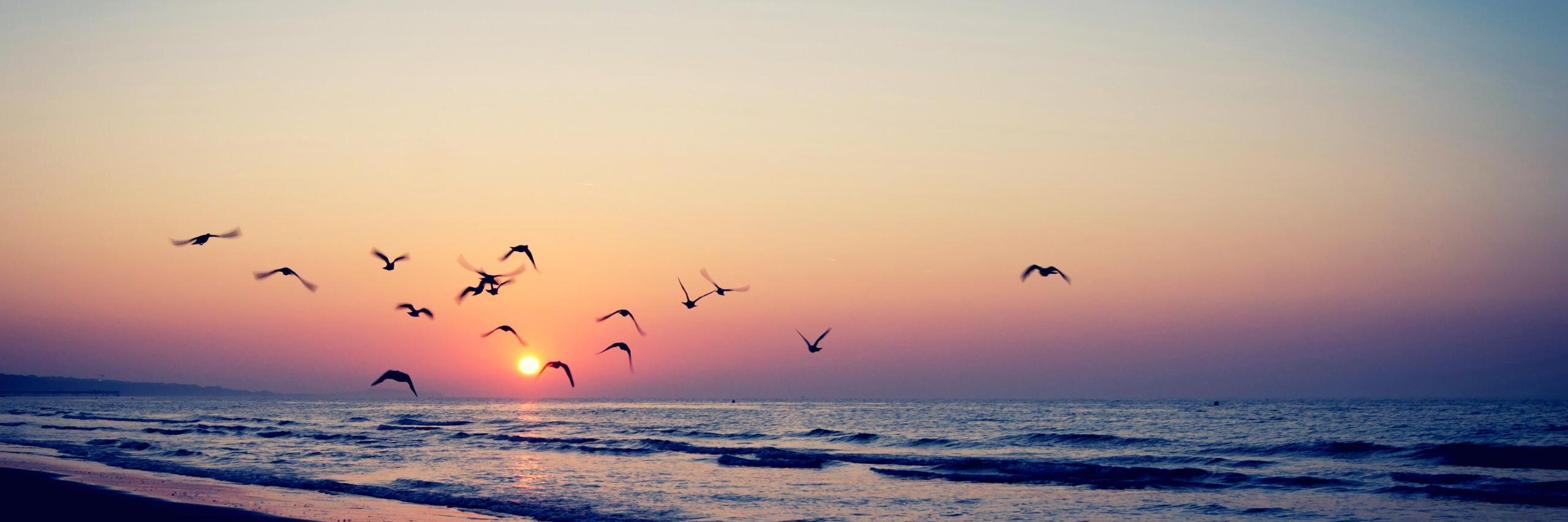 Ya_Manka's profile banner image
