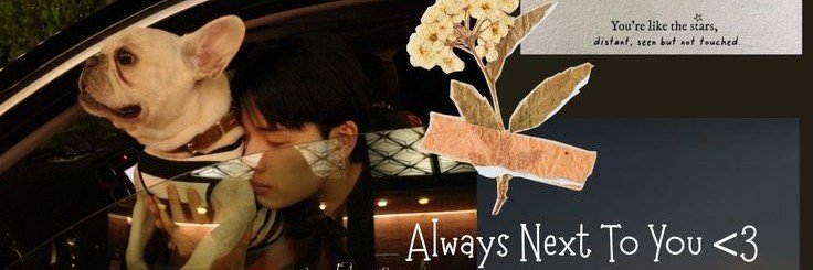 SassyVillain's profile banner image