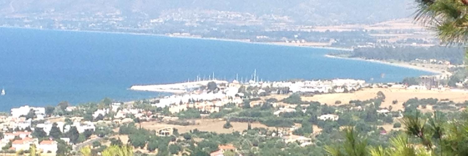 Home Cooking Mum banner