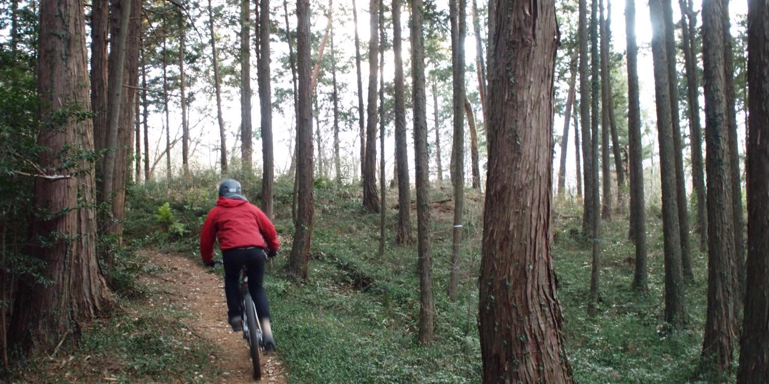 AndyRoussimoff banner