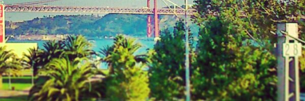 curiously729 Profile Banner