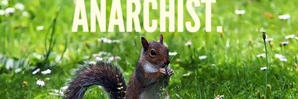 Vesna (@becha@v.st) banner