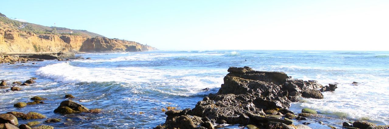 Realist Report banner