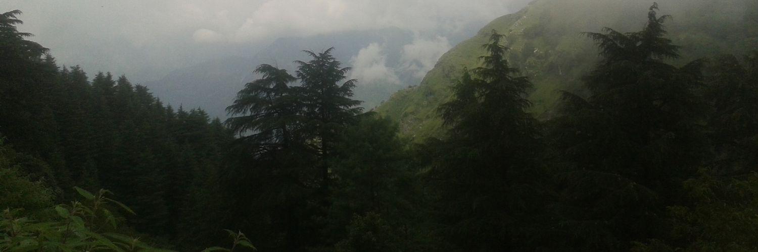 suchi_m_p's profile banner image