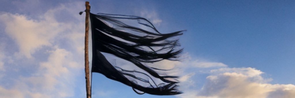 tuna__S's profile banner image