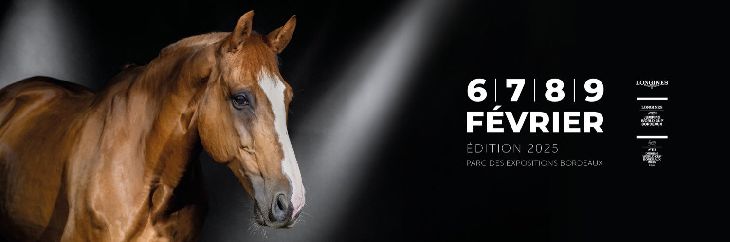 JumpingBordeaux's profile banner image