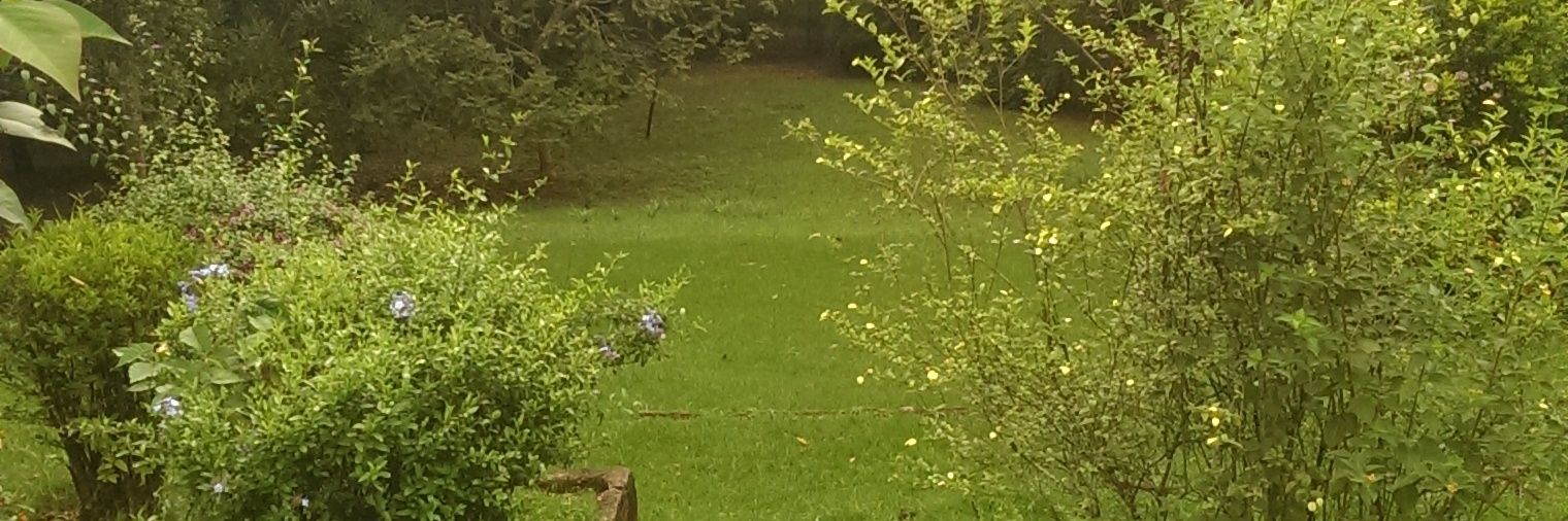 rose_njui's profile banner image