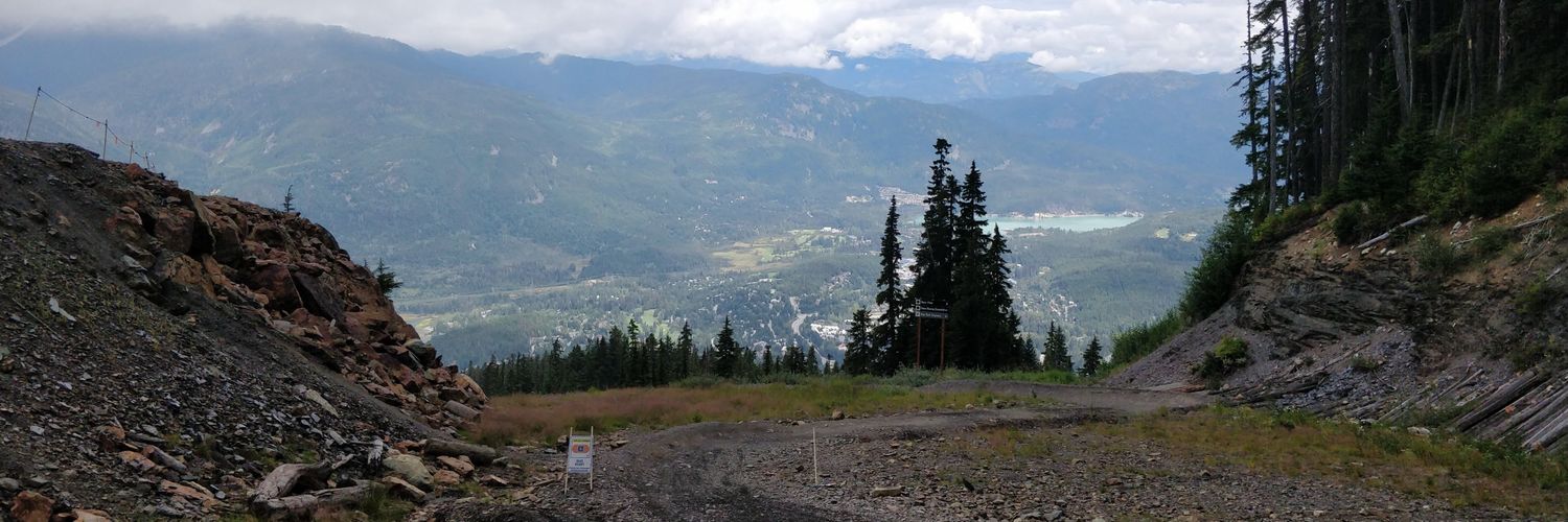torin1001's profile banner image