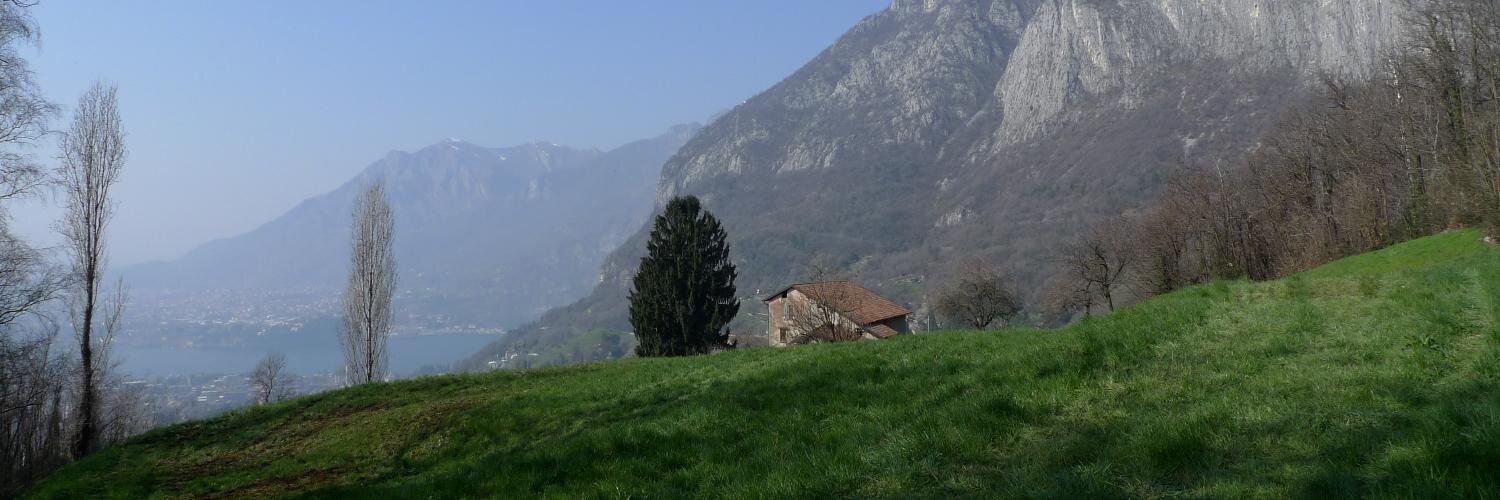 AlbertoCameroni's profile banner image